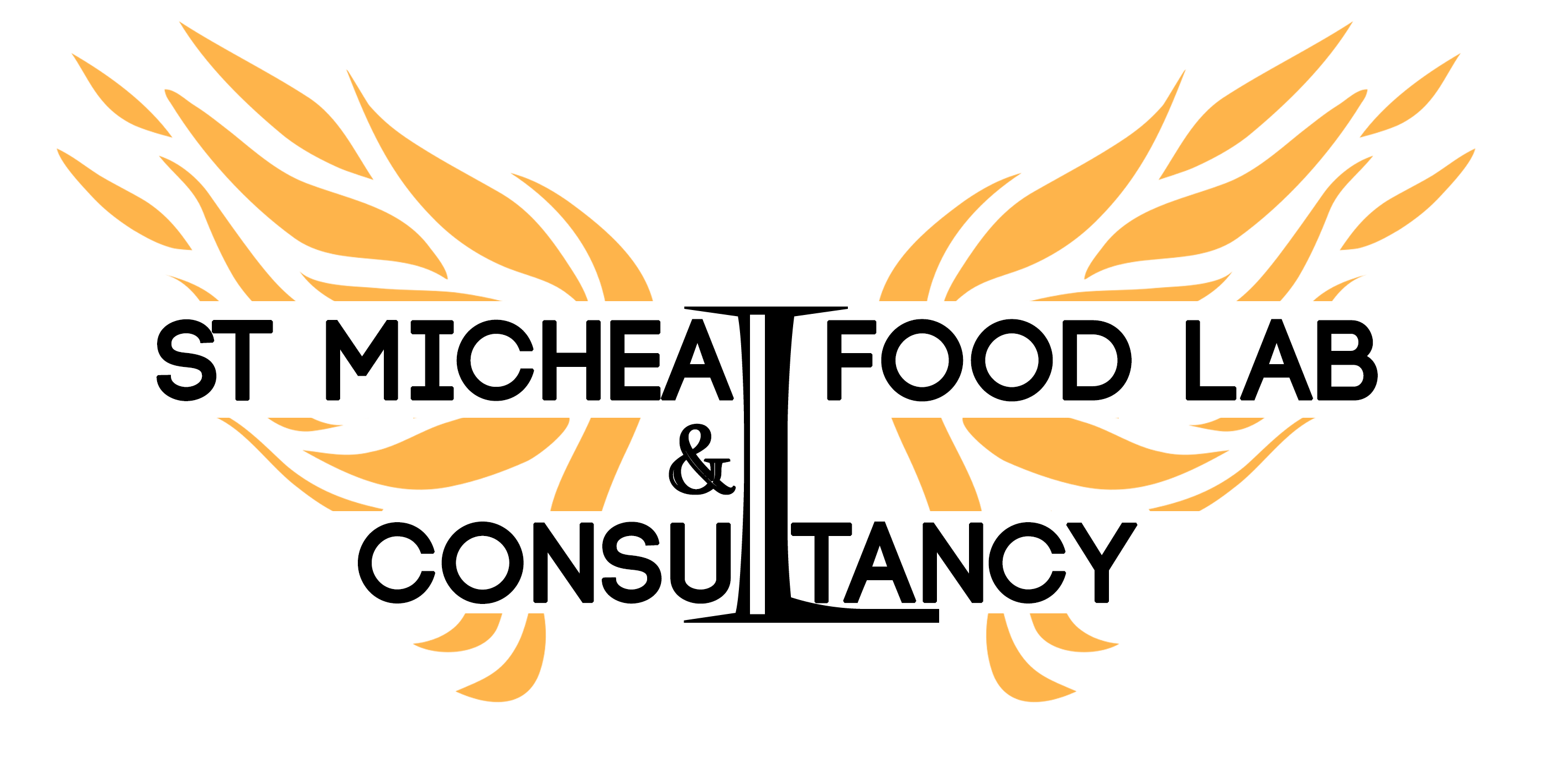 ST MICHEAL FOOD LAB AND CONSULTANCY LTD